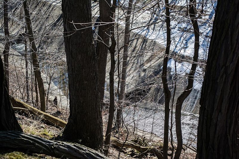 Hidden Paths in the Doan Brook Watershed