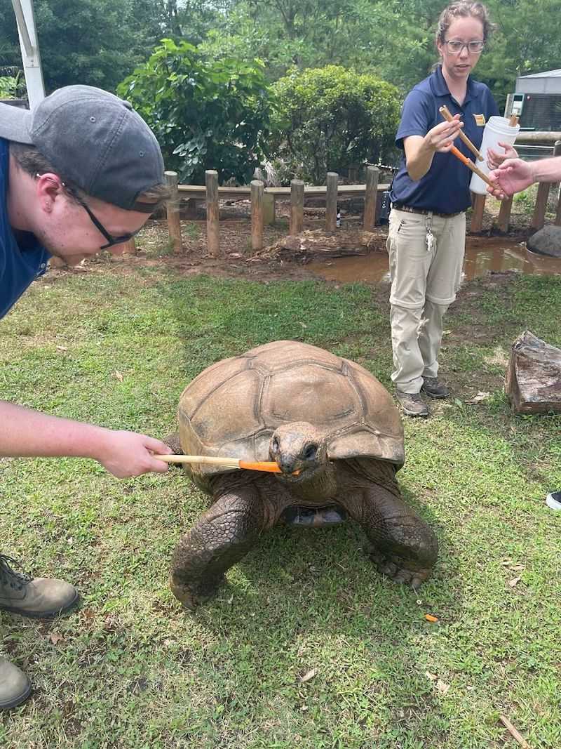 Reptile and Amphibian Exhibits Add Variety