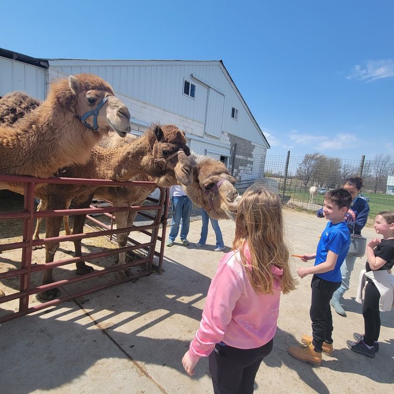 En Gedi Ridge Zoo - Rushsylvania, Ohio