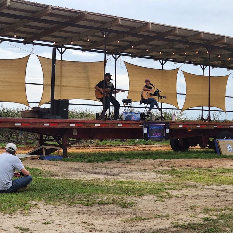 Live Music And Weekend Events Keep The Energy Fun