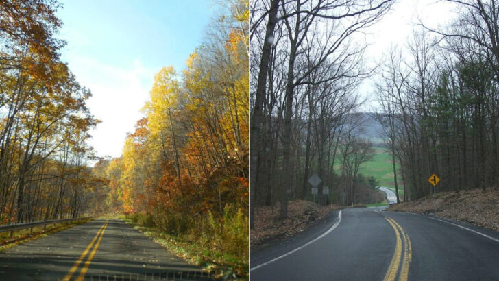These 10 Pennsylvania Scenic Drives Look Straight Out of a Movie in the Spring
