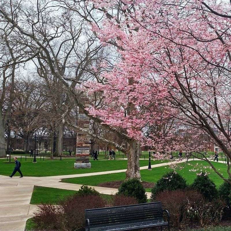 State College