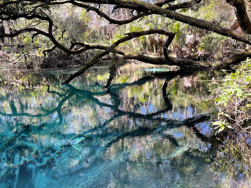 Juniper Springs Trail - Ocala National Forest