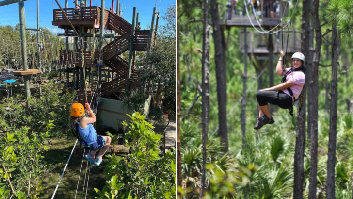 These 12 Florida Zipline Parks Make Outdoor Adventure Feel Fun Without Being Extreme