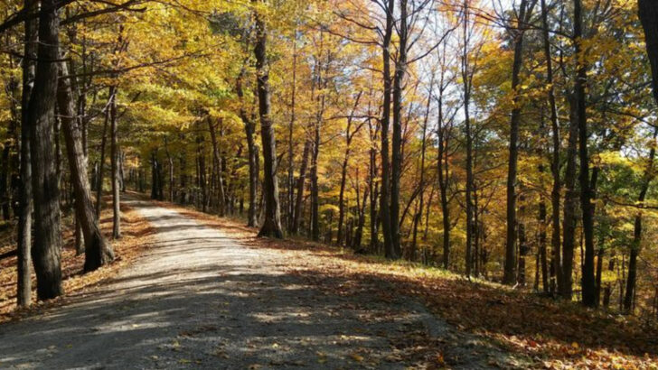These 12 Ohio Parks Have Some of the Most Beautiful Walking Trails in the Midwest