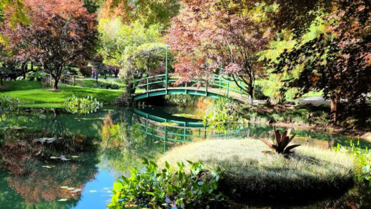 These 13 Georgia Gardens Show a Softer Side of the South