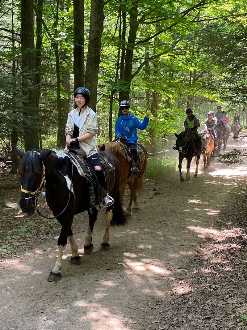 Mountain Creek Riding Stable (Cresco, Pocono Mountains)