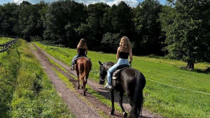 These Pennsylvania 12 Horseback Riding Experiences Turn a Simple Afternoon Into a Scenic Escape