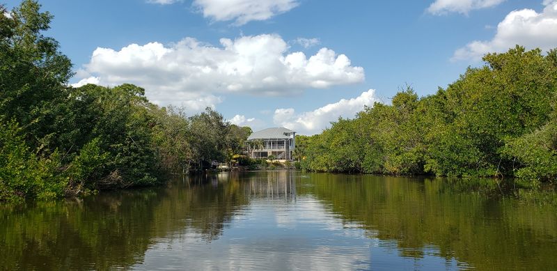 A Peaceful Setting Along The Estero River