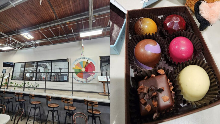 This Chocolate Factory In North Carolina Lets You Watch The Sweet Stuff Being Made Before You Taste It