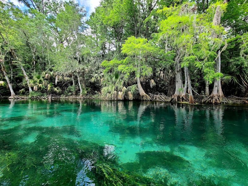 Water Clarity That Defies Belief