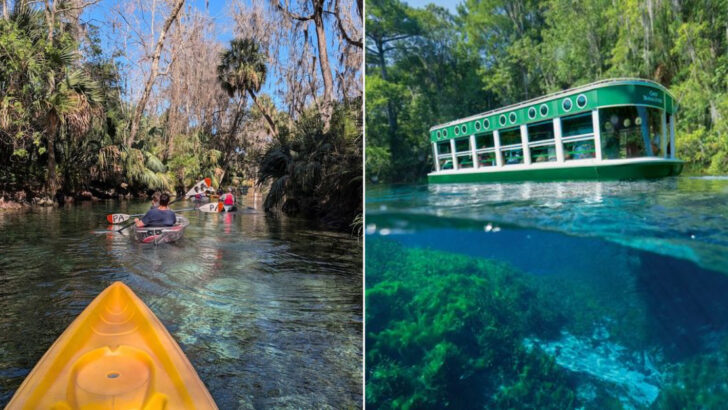 This Famous Florida State Park Feels Like A Hidden Underwater World In Plain Sight