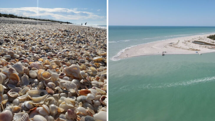 This Florida Beach Park Feels Like A Private Island Day Without The Private Island Price