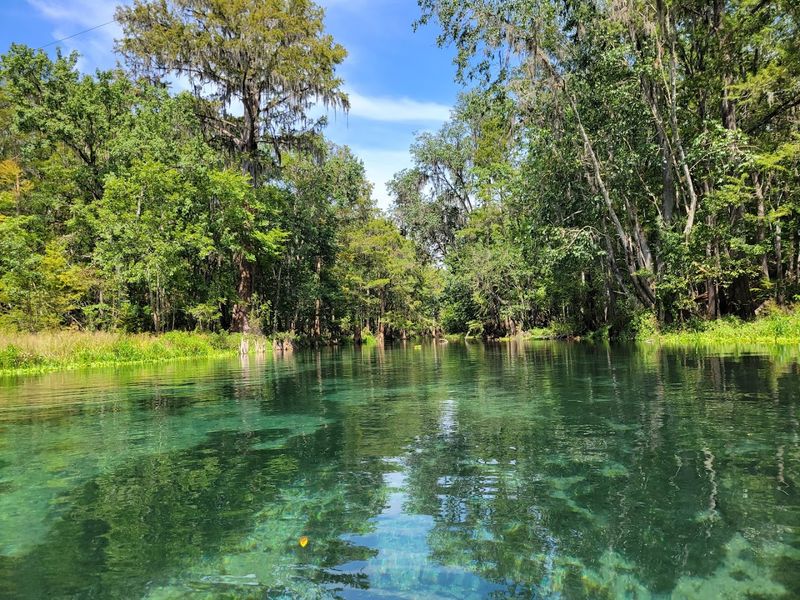 Water So Clear You Can See Every Detail