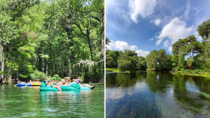 This Florida State Park Is One Of The Most Refreshing Warm-Weather Escapes In The South