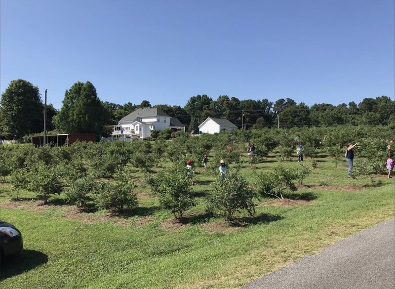 A Hidden Family Farm Near Atlanta's Bustle