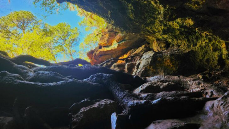 This Hidden Cave in Florida Is Unlike Anything You&rsquo;d Expect