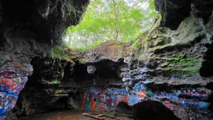 This Hidden Cave in Florida Is Unlike Anything You&rsquo;d Expect