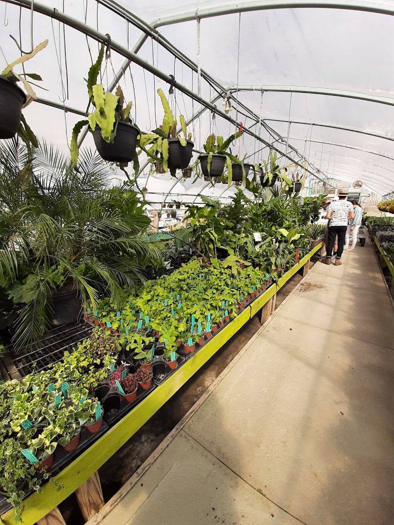 A Multi-Room Plant Paradise That Keeps You Exploring