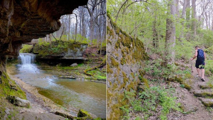This Hidden Ohio Nature Preserve Feels More Like the Pacific Northwest Than the Midwest