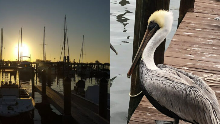 This Historic Florida Village Has Shrimp Boats, Sea Breeze, And The Kind Of Charm You Can&rsquo;t Fake