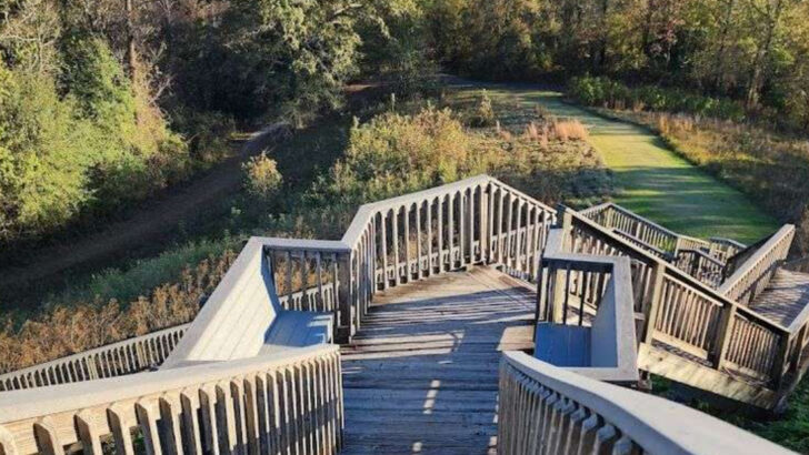 This Historic Georgia Park Turns A Simple Walk Into A Journey Through 12,000 Years Of Human History