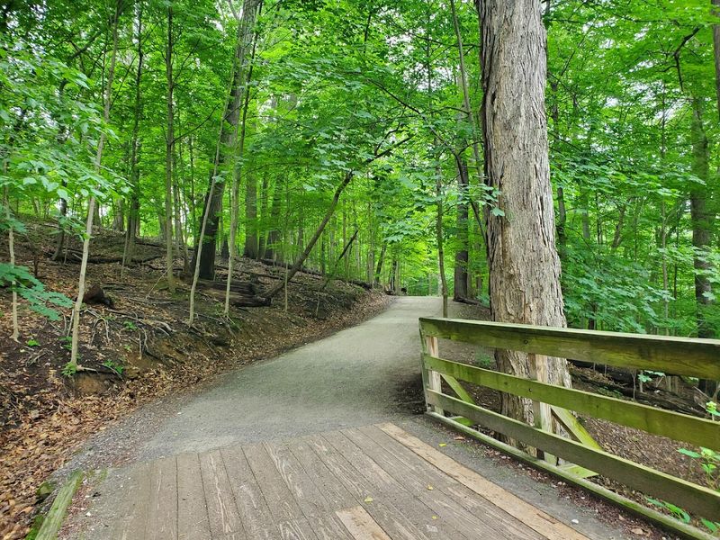 Miles of Unpaved Trails Wind Through Dense Forest