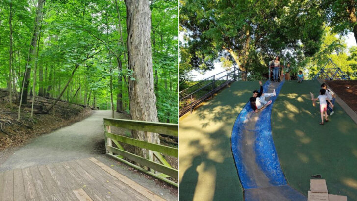 This Massive Pittsburgh Park Feels More Like a Hidden Forest Than a City Park