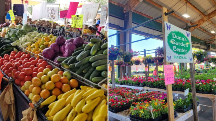 This Massive State Farmers Market in North Carolina Is Packed With Local Produce and Hidden Gems