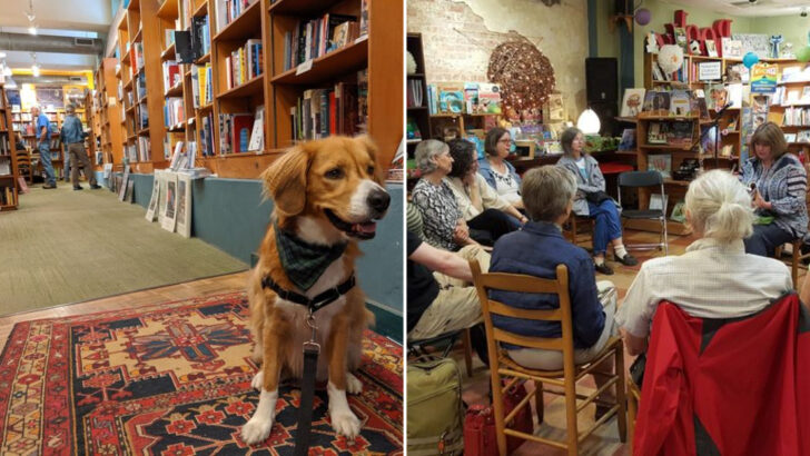 This North Carolina Bookstore Mixes Community Vibes With Shelves Worth Exploring Slowly