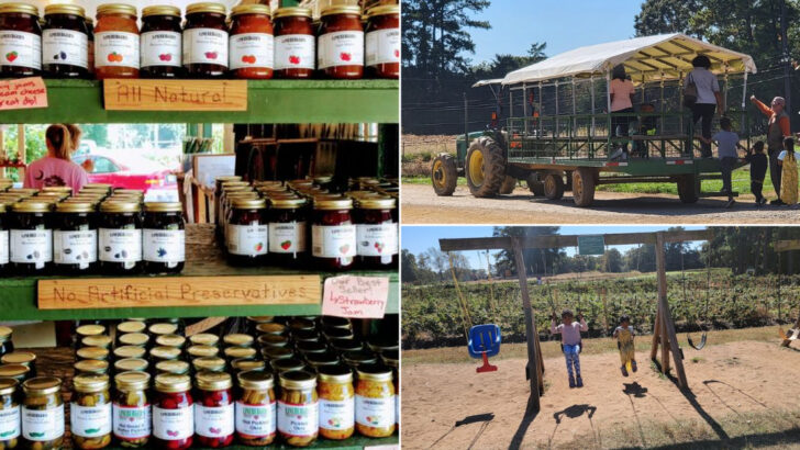 This North Carolina Farm Is Perfect For A Relaxed Spring Road Trip With Fresh Homemade Treats