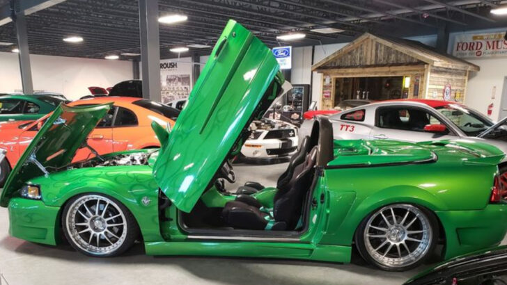 This North Carolina Museum Is A Must-Visit For Anyone Who Ever Loved A Ford Mustang