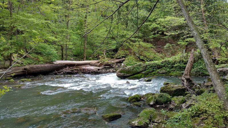 The Majesty Of The Little Miami River