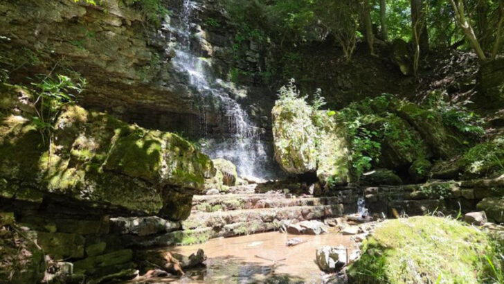 This Ohio State Park Is Famous For Its Limestone Gorge And Scenic River Views
