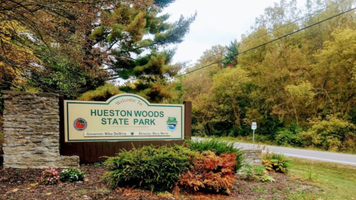 This Ohio State Park Is Home To One Of The Midwest’s Most Beautiful Forests
