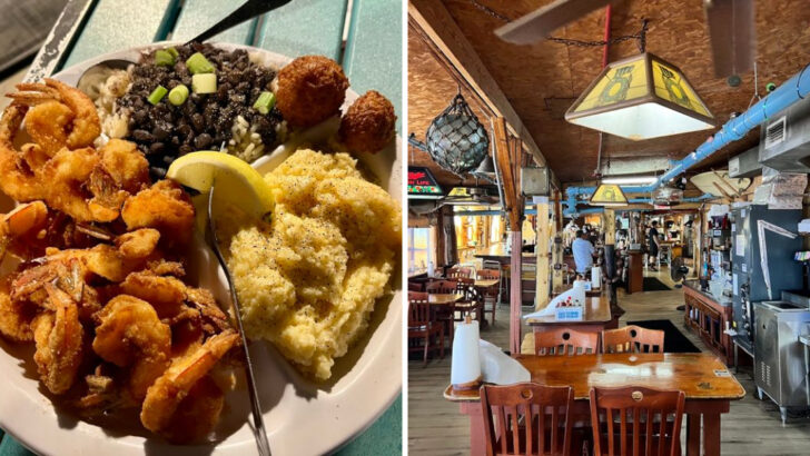 This Old-School Florida Seafood Shack Pairs Fried Shrimp With Dockside Views And Serious Character