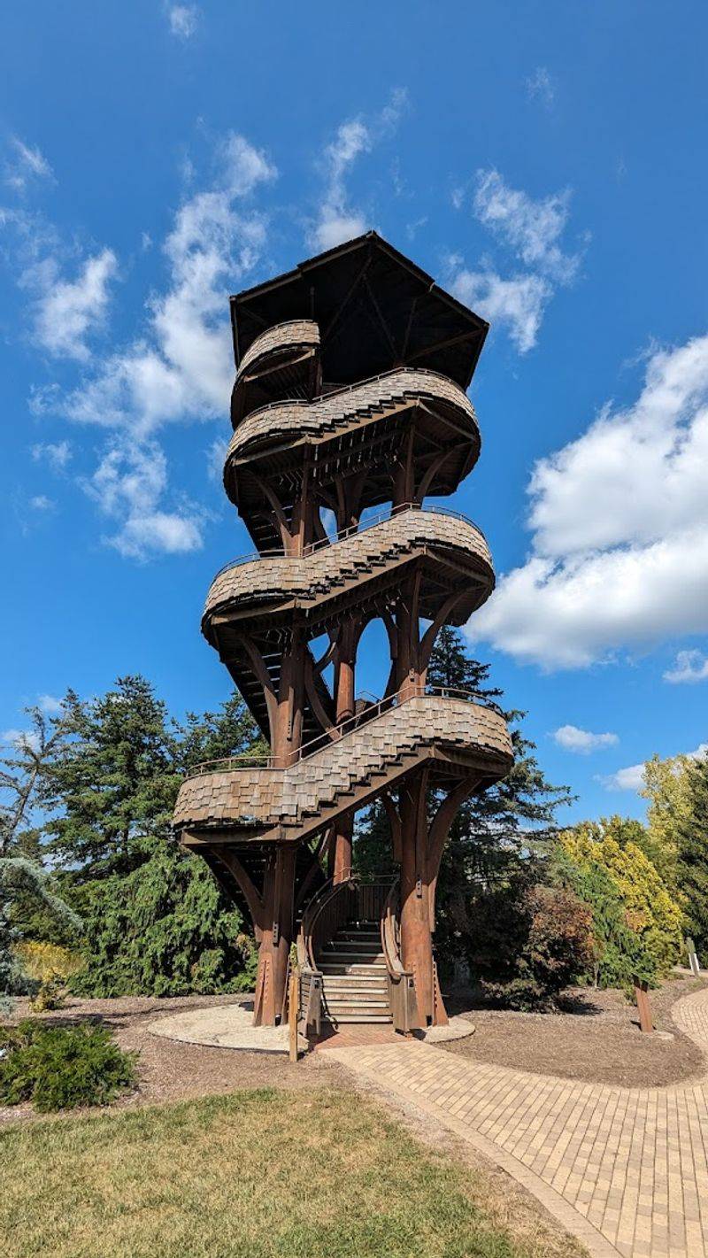 The Tree Tower: A 65-Foot Canopy Viewpoint