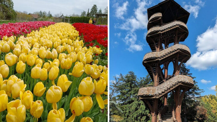 This Peaceful Ohio Arboretum Hideaway Has One of the Best Scenic Towers Around