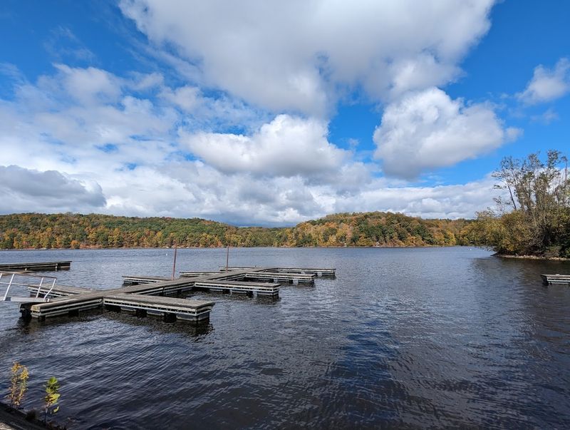 Salt Fork Lake's Serene Waters
