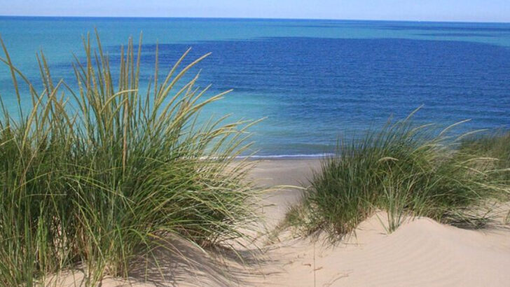 This Stunning National Park in Indiana Has Towering Sand Dunes and Lake Michigan Views