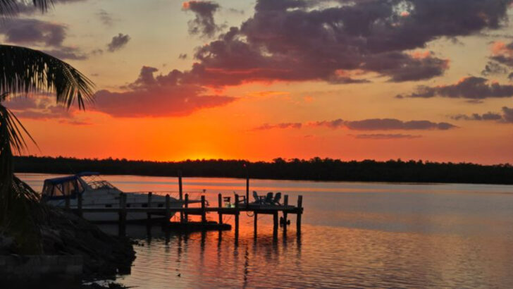 This Tiny Florida Island Is Surrounded By Mangroves, Mystery, And Some Of The Wildest Water In The State