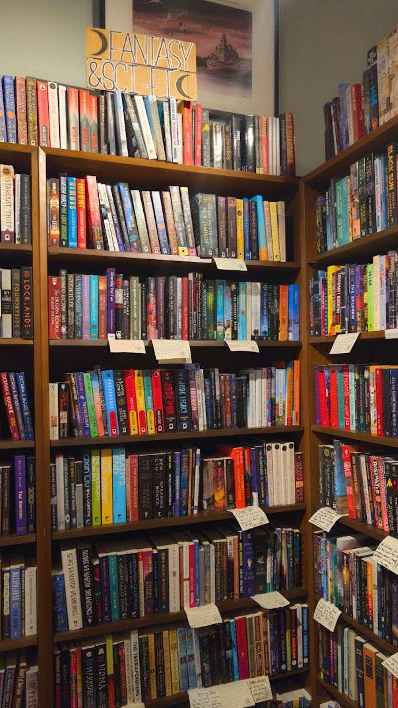 Science Fiction and Fantasy Collection That Captivates