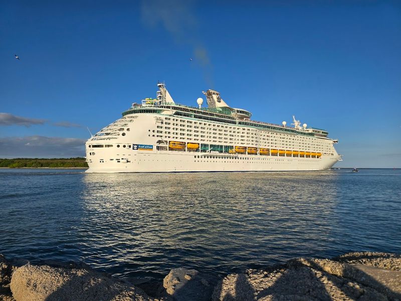 Cruise Ships, Wildlife, And Space Coast Views