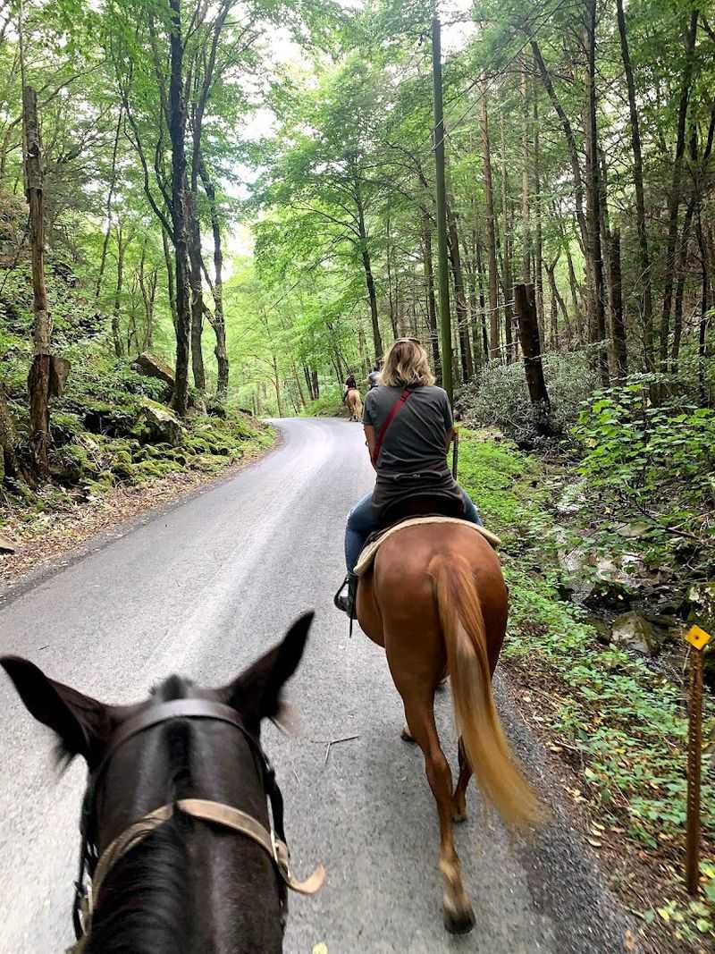 Wildfire Ranch (Spring Mills, Centre County)
