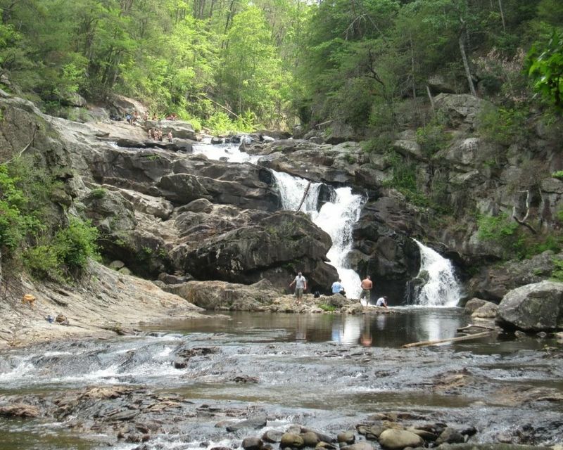 Cohutta Wilderness & Ellijay