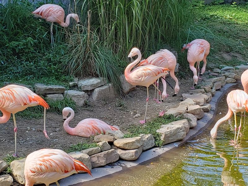 Akron Zoo - Akron, Ohio