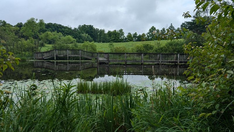 Gorman Nature Center Scenic Trails - Mansfield, Richland County