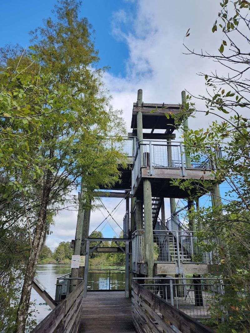 Lettuce Lake Park &ndash; Boardwalk Loop & Observation Tower