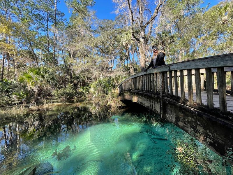 Juniper Springs Trail in Ocala National Forest (Silver Springs)