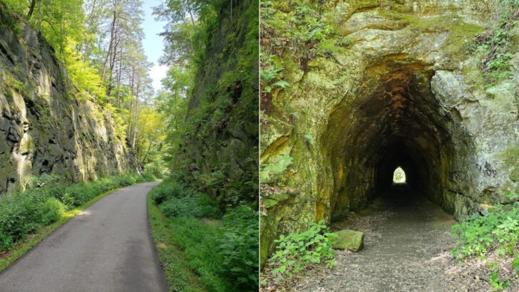 Towering Cliffs and Deep Forests Make This Ohio Park Feel Surprisingly Wild